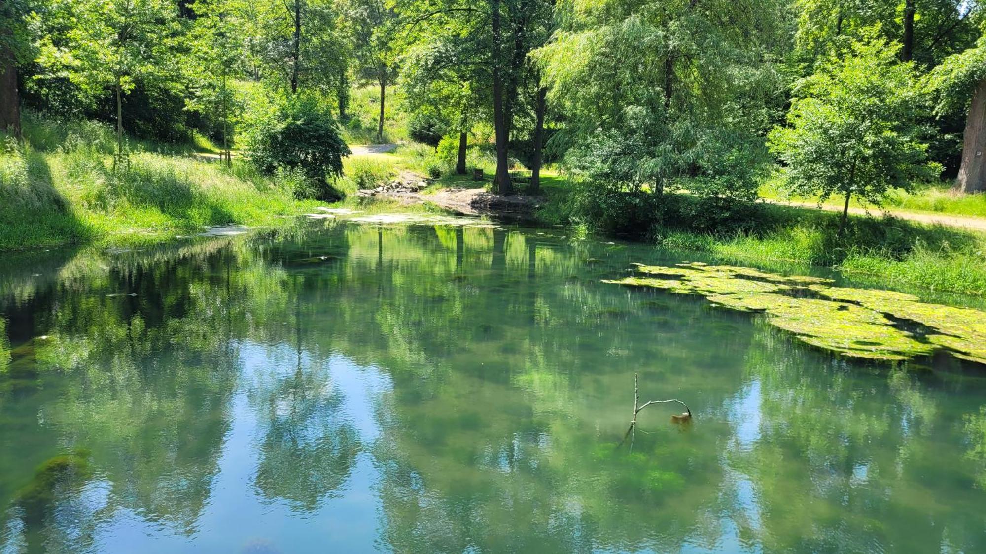 Urlaub Am Rhein, Ferienwohnung Mit Garten Boppard Extérieur photo
