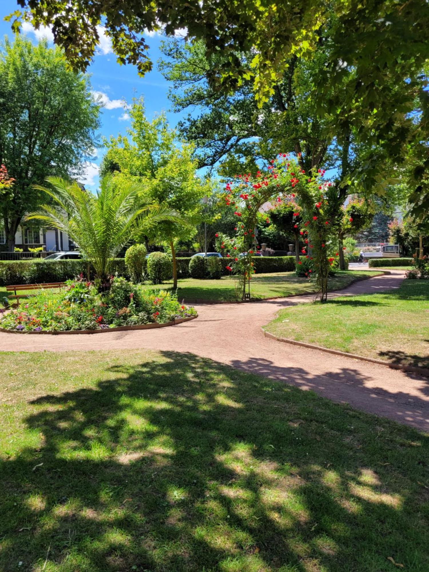 Urlaub Am Rhein, Ferienwohnung Mit Garten Boppard Extérieur photo
