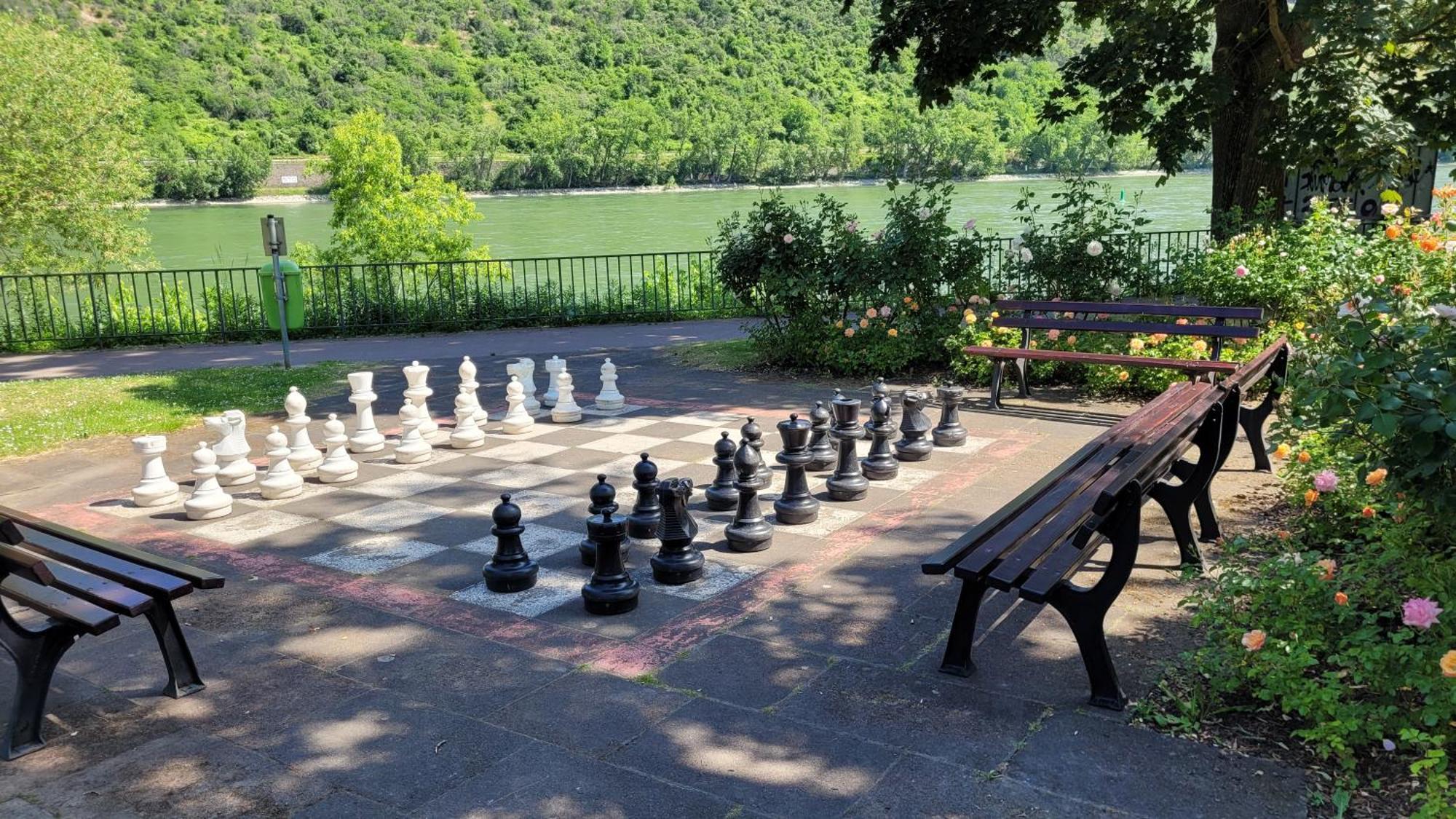 Urlaub Am Rhein, Ferienwohnung Mit Garten Boppard Extérieur photo